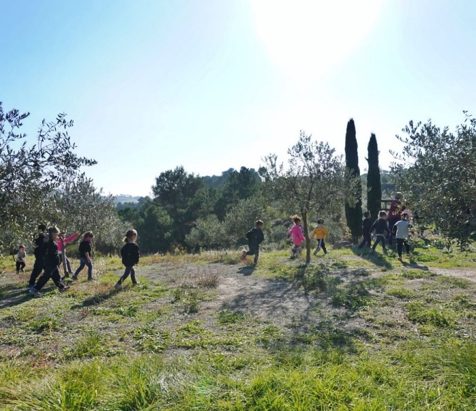 Visites per Escoles